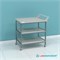 Стол передвижной СТ.С2П.х.80.60.75 из полипропилена с ручкой и двумя открытыми полками 6380